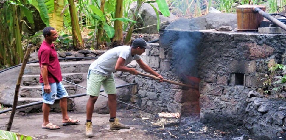 Provar o grogue e a boa cozinha