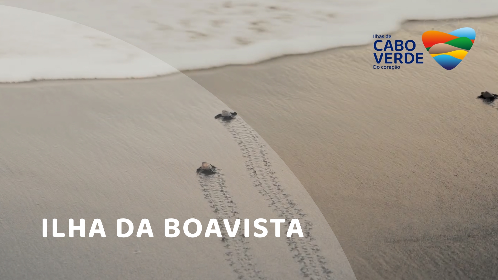 Ilha da Boa Vista