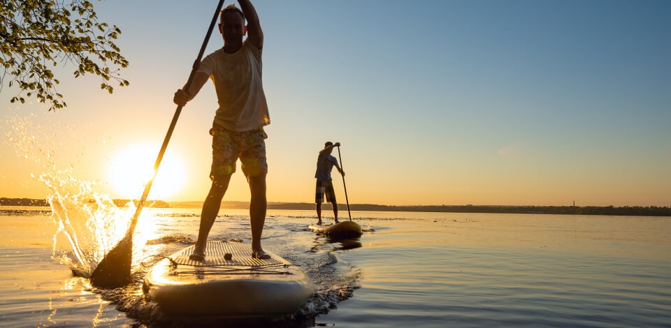 Paddle (Stand-Up): standing tall, heading towards the painted horizon.