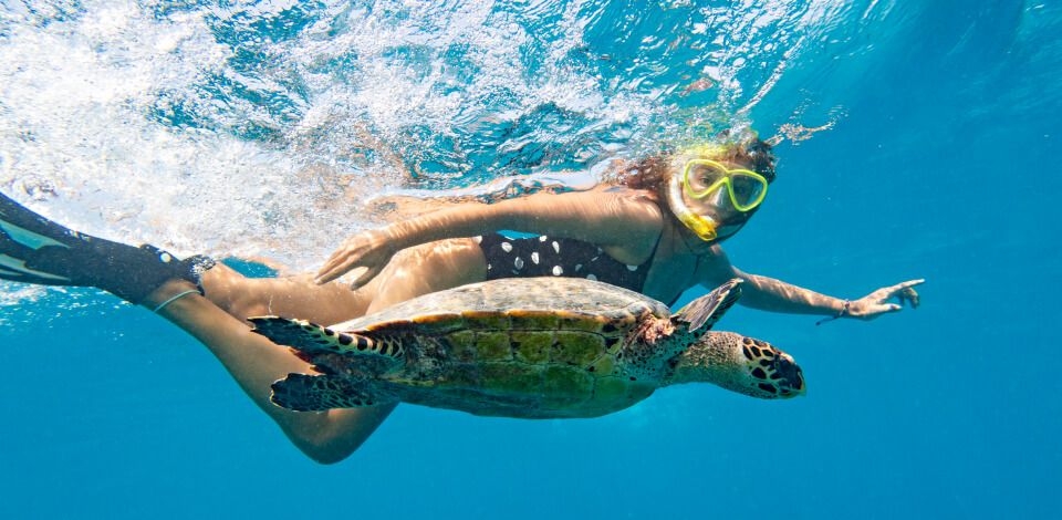 Snorkeling em águas cristalinas