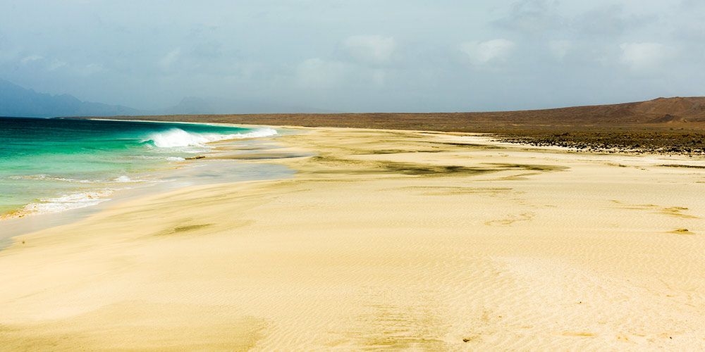 The uniqueness of Cabo Verdean fauna and flora