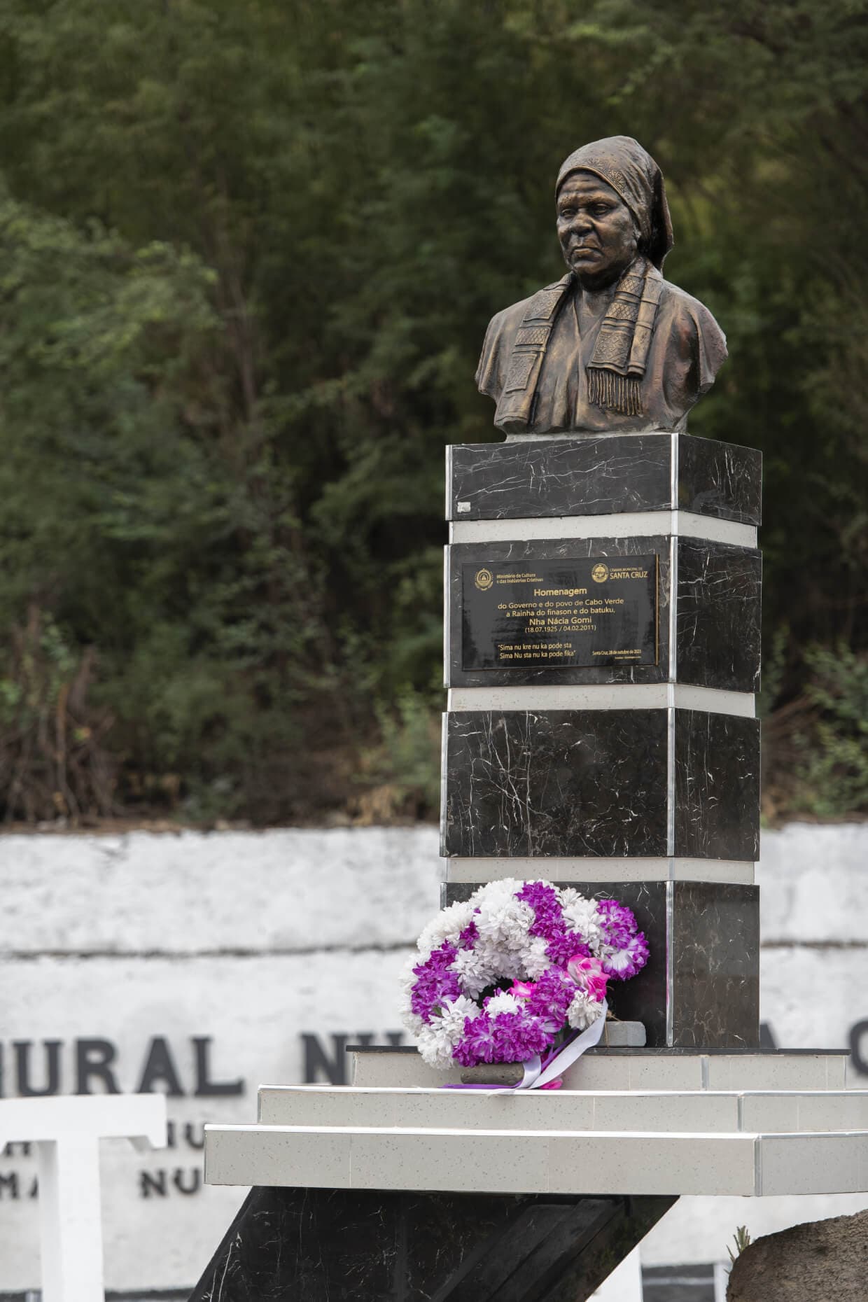 Bust Nhá Nácia Gomi