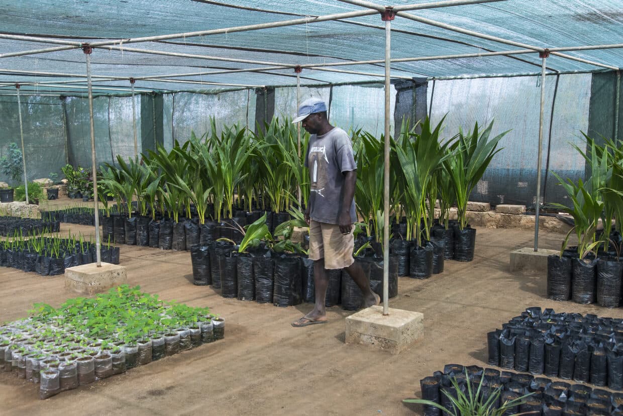 Centro Investigação Florestal