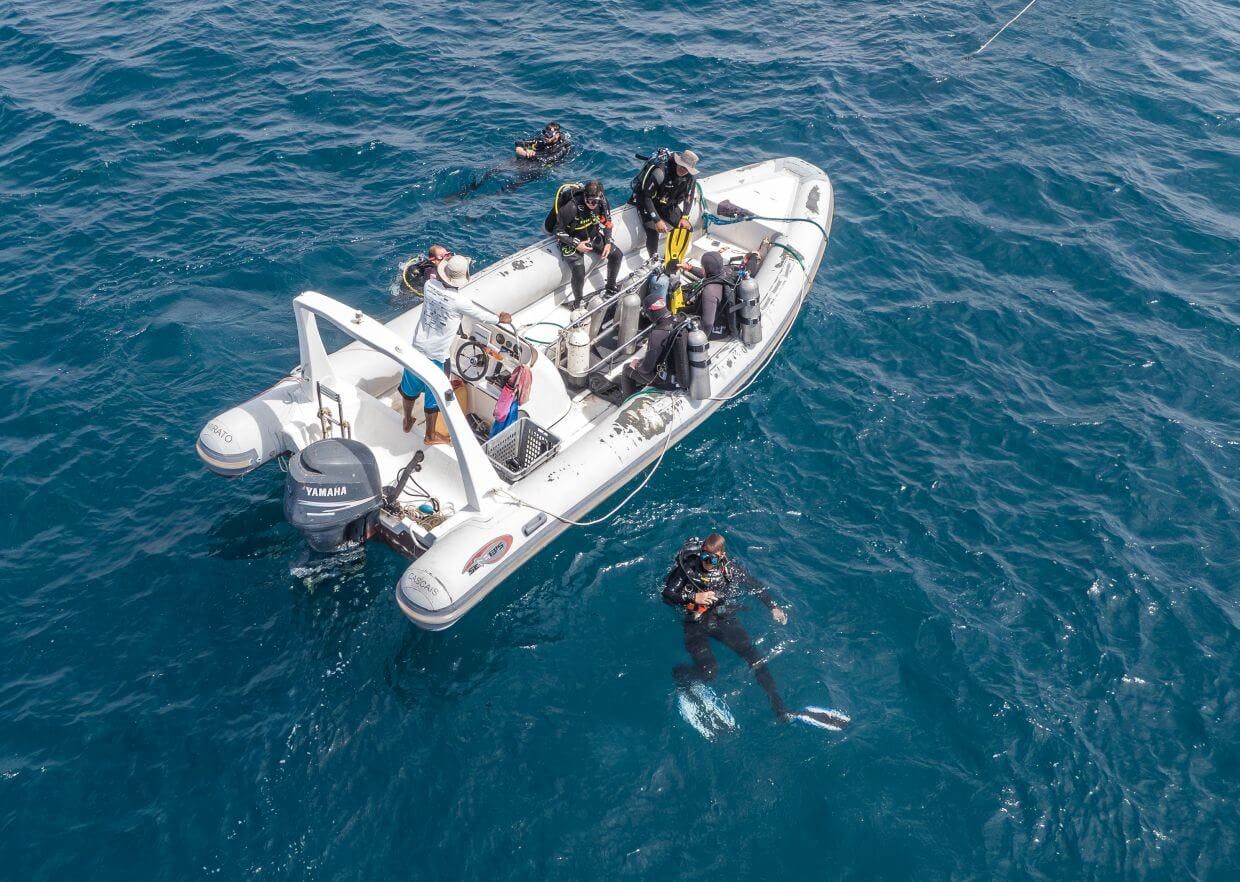 Mergulho na Ilha do Sal