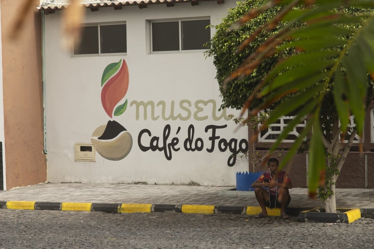 Museu do Cafe - Cafezeiros