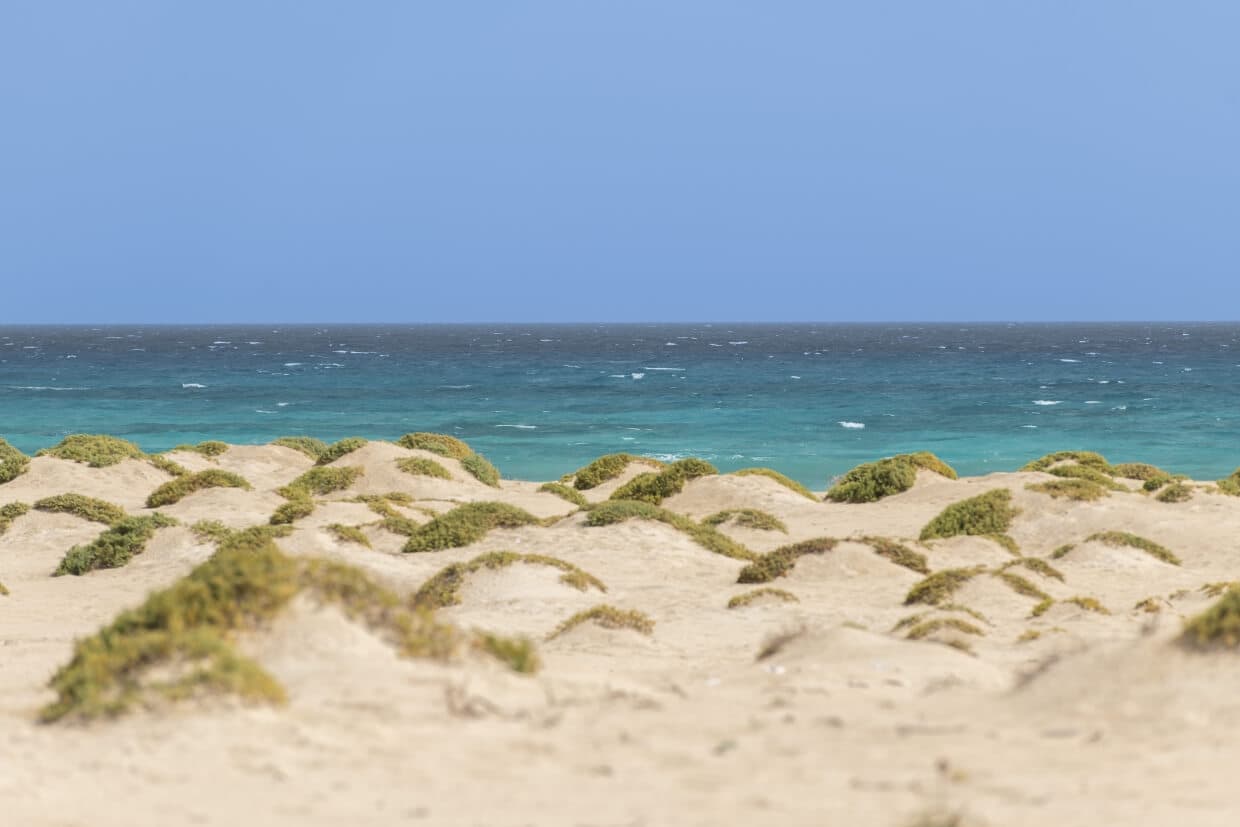 Praia do Curral Velho