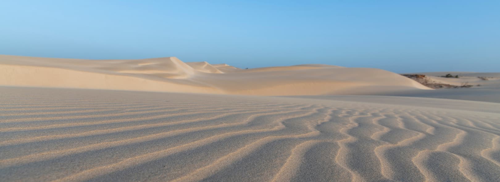 Between dunes and stars: the Viana Desert is a unique experience on Boa Vista Island