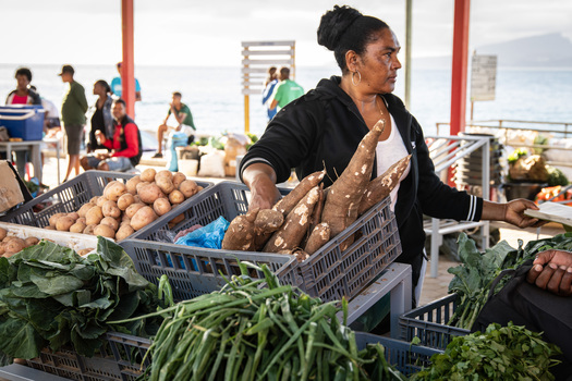 Explore the local markets