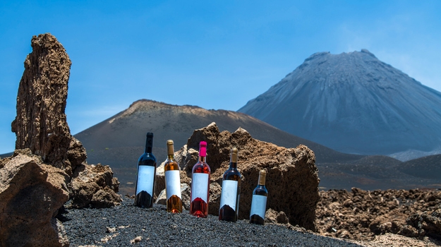Experience the robust Wine of Fogo