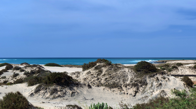 Heading to the Island of Essence