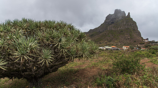 A stunning walk through Monte Gordo