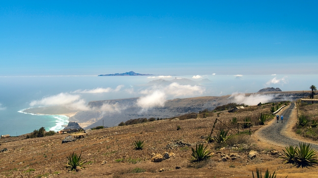 Walking in Monte Verde