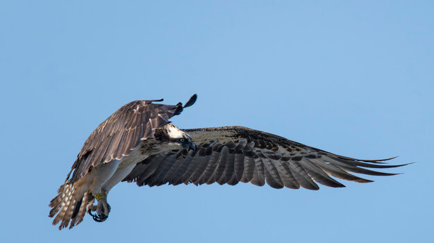 Other Cabo Verde treasures in need of protection